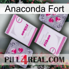 Anaconda Strong 33